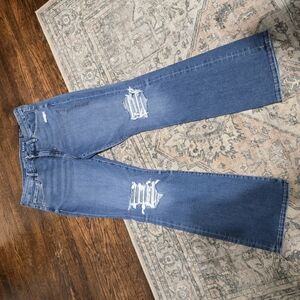 Womens American Eagle Curvy Skinny Kick Jesns 14 Reg